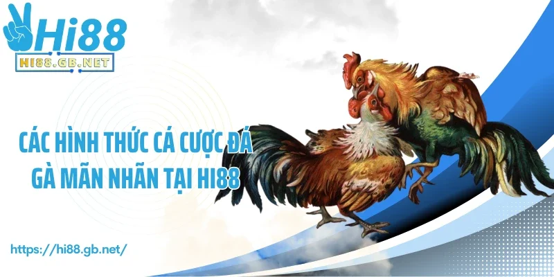 Các hình thức cá cược đá gà mãn nhãn tại Hi88
